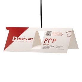 Detektiv MT